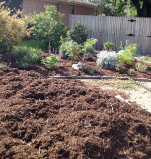 Mulching!