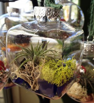 Terrarium ornament square