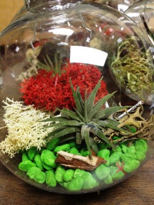 Terrariumornament2