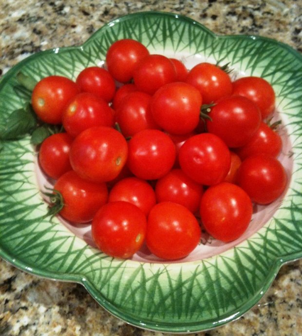 Sapho tomato