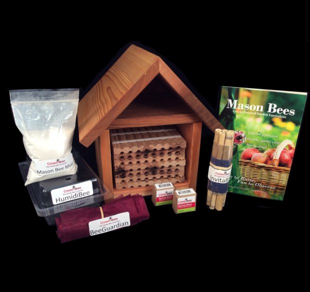 Mason Bee Kit