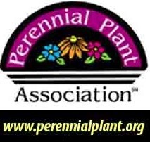 Ppa