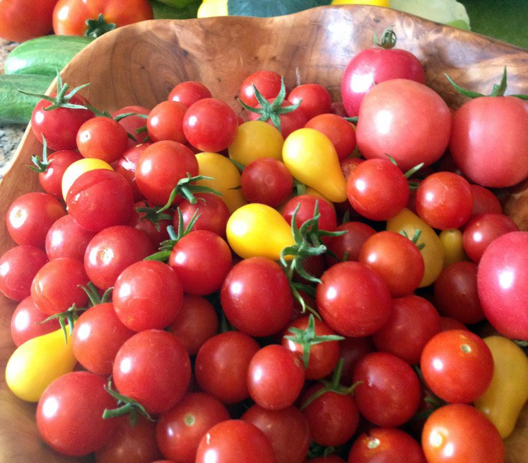 Halleck cherry tomato