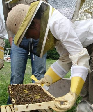 Checking a frame for the queen