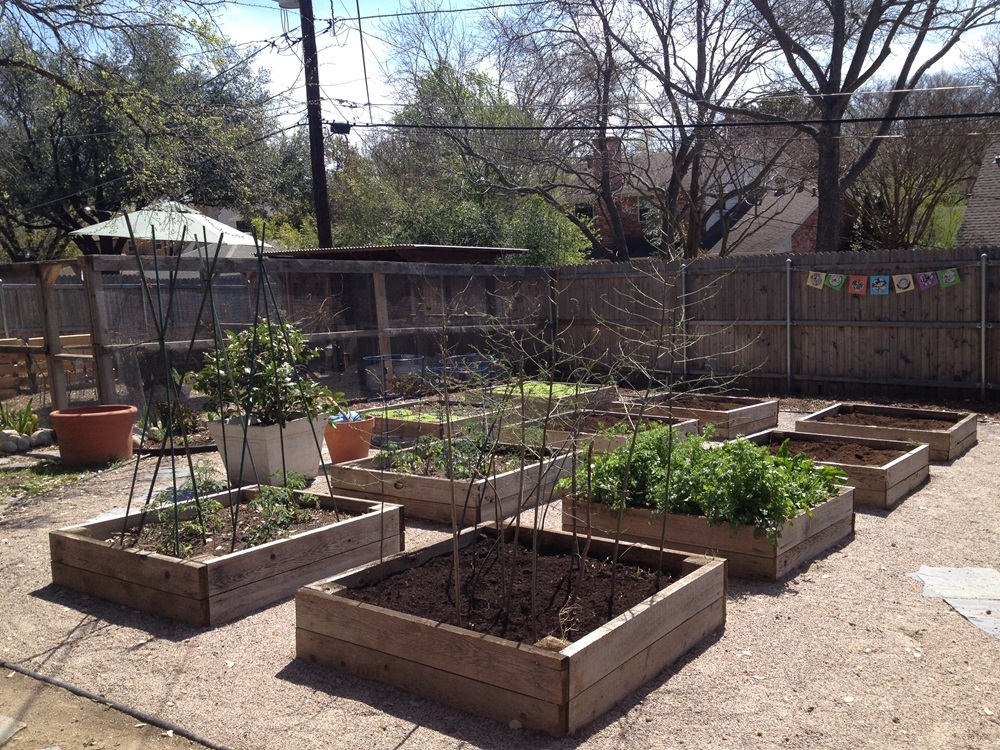 Cedar Raised Beds