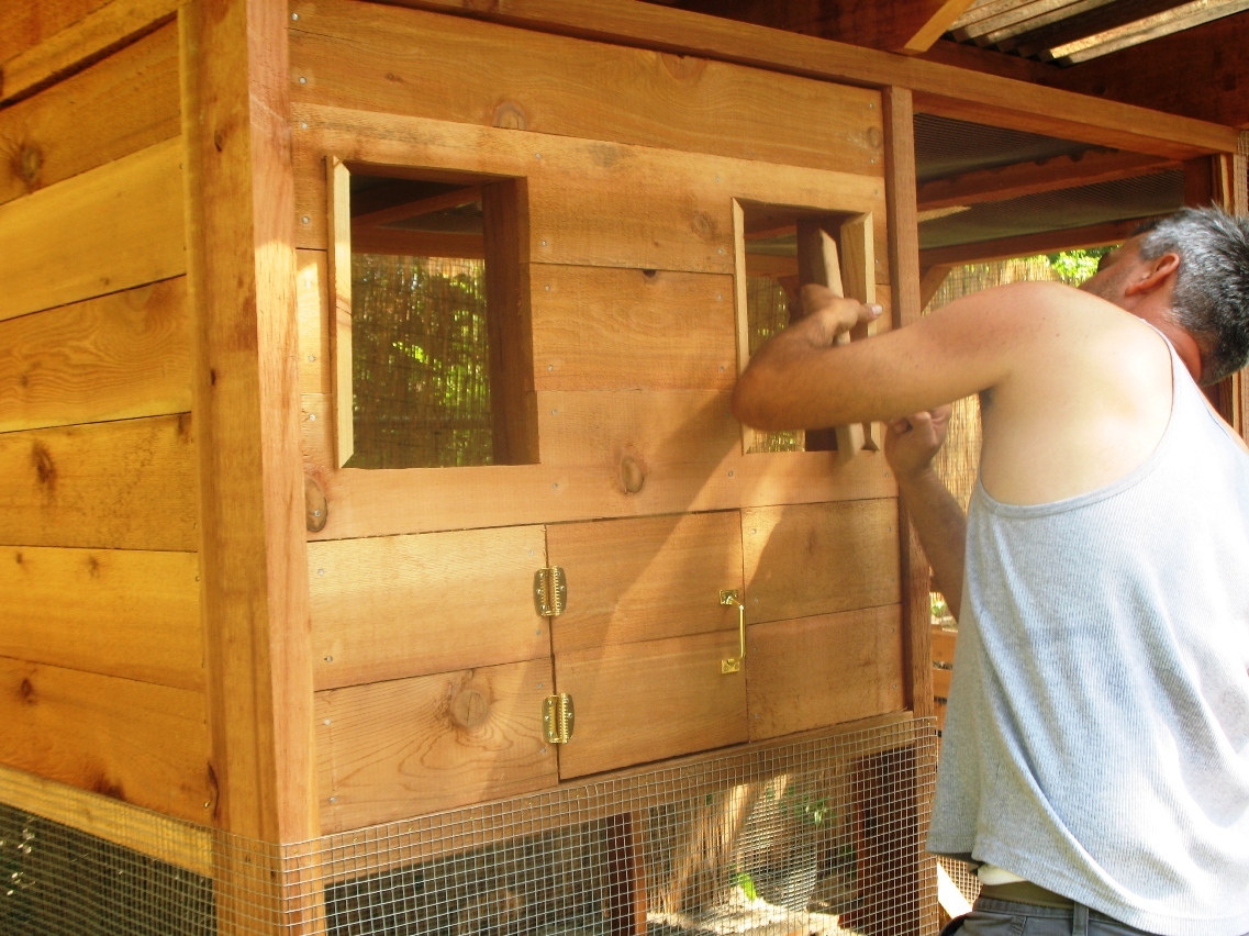 Windows and egg collecting door installed