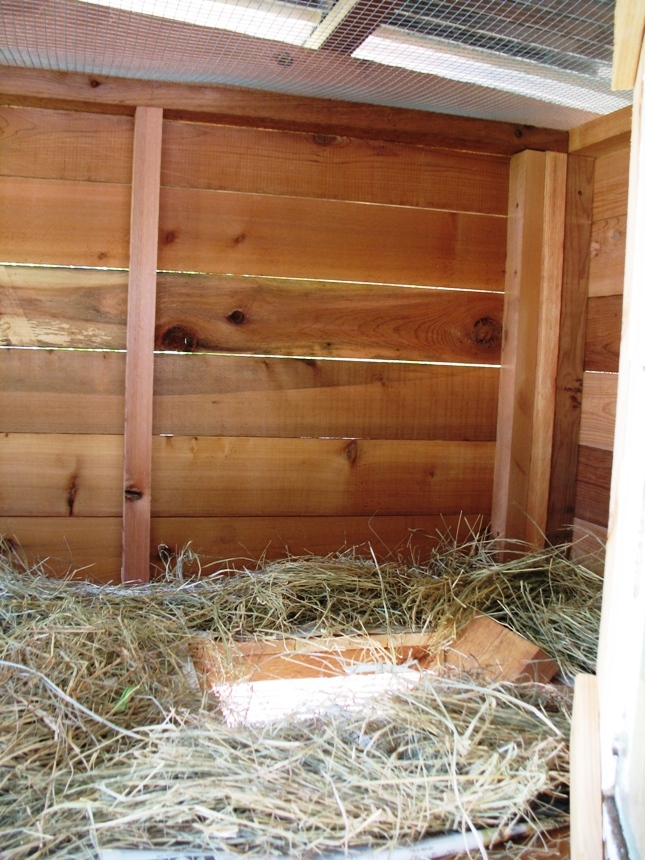 Cozy upstairs apartment where roosting boxes will go