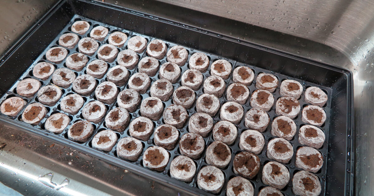 Halleck Horticultural | Plantgeek Chic - Compressed Seed Pellets for…