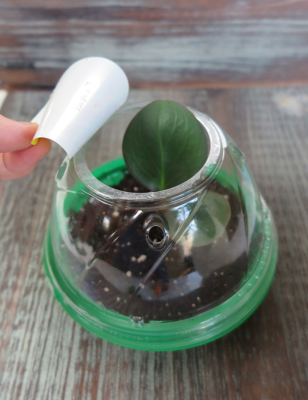 Recycled Plant Propagation Container