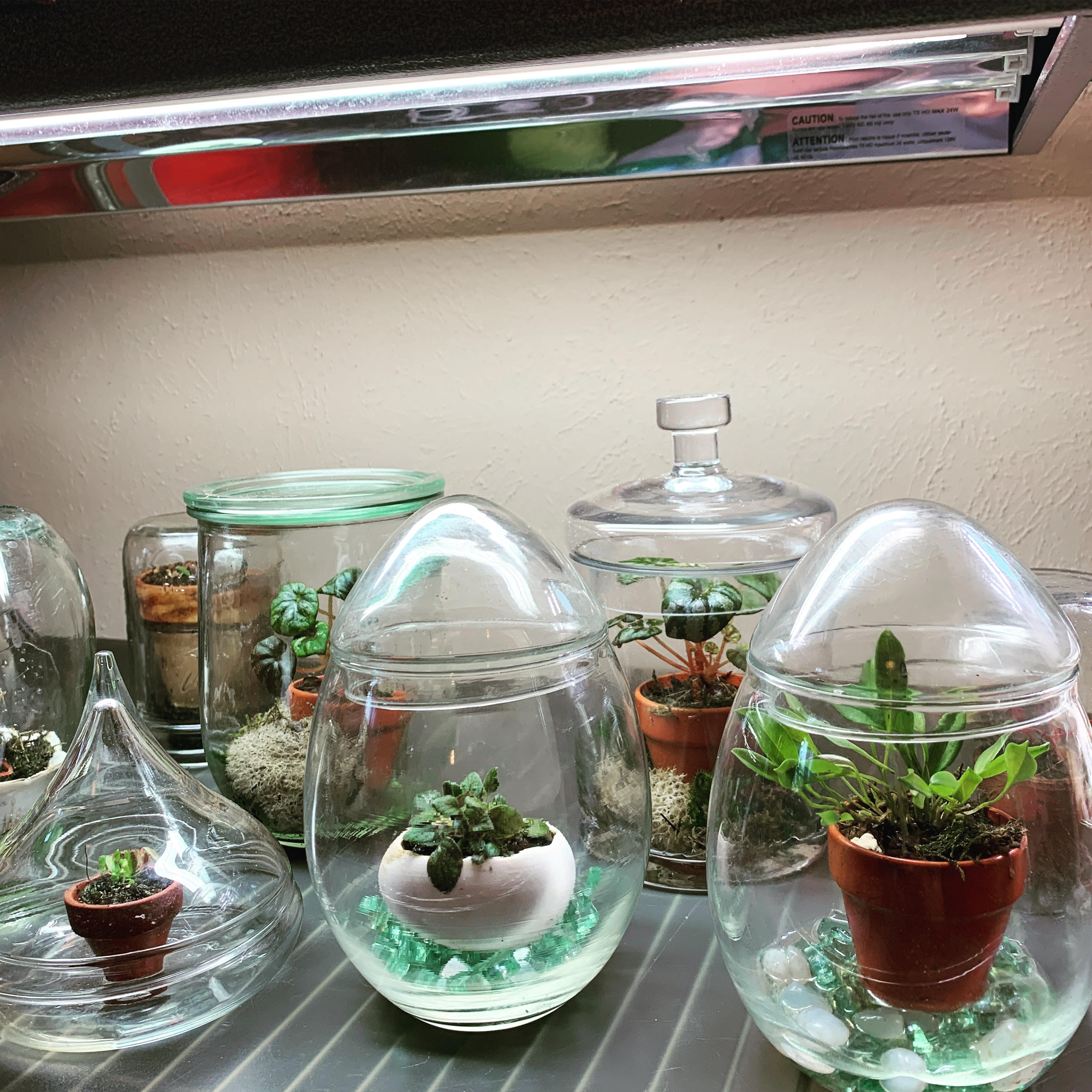 Grow Lights for Tiny Plants