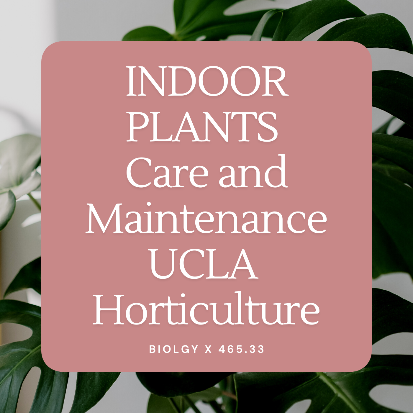 Halleck Indoor Plants Course UCLA Extension