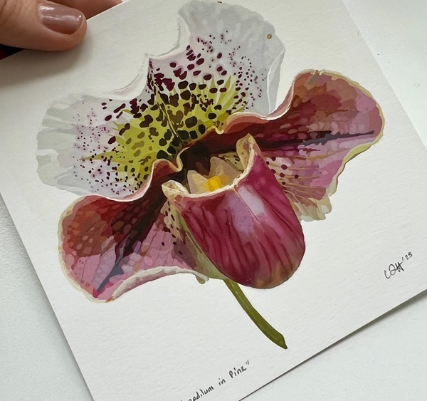 Halleck Mini Print Orchid