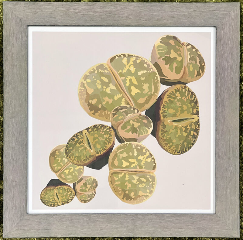 Lithops Love, Taupe, Giclee Print