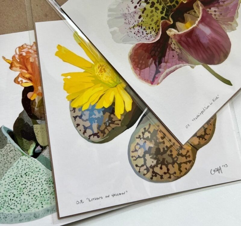 Mini Botanical Prints