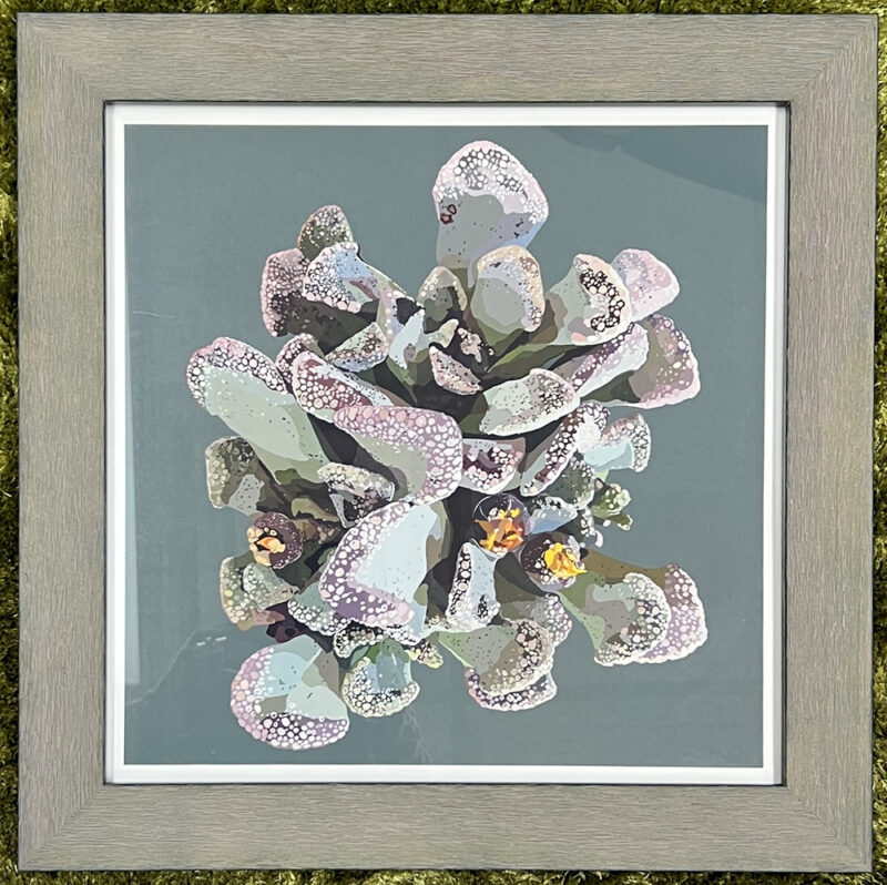 Titanopsis in teal, Giclee Print