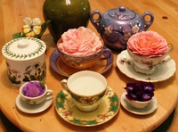 Teacup_roses