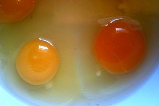 Eggyolks