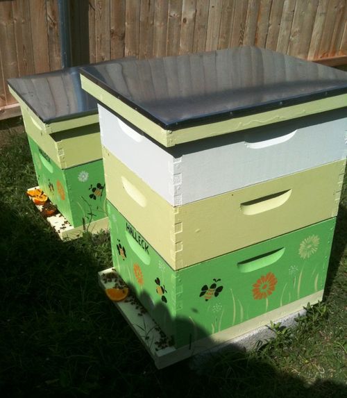 Beehives7-4-11